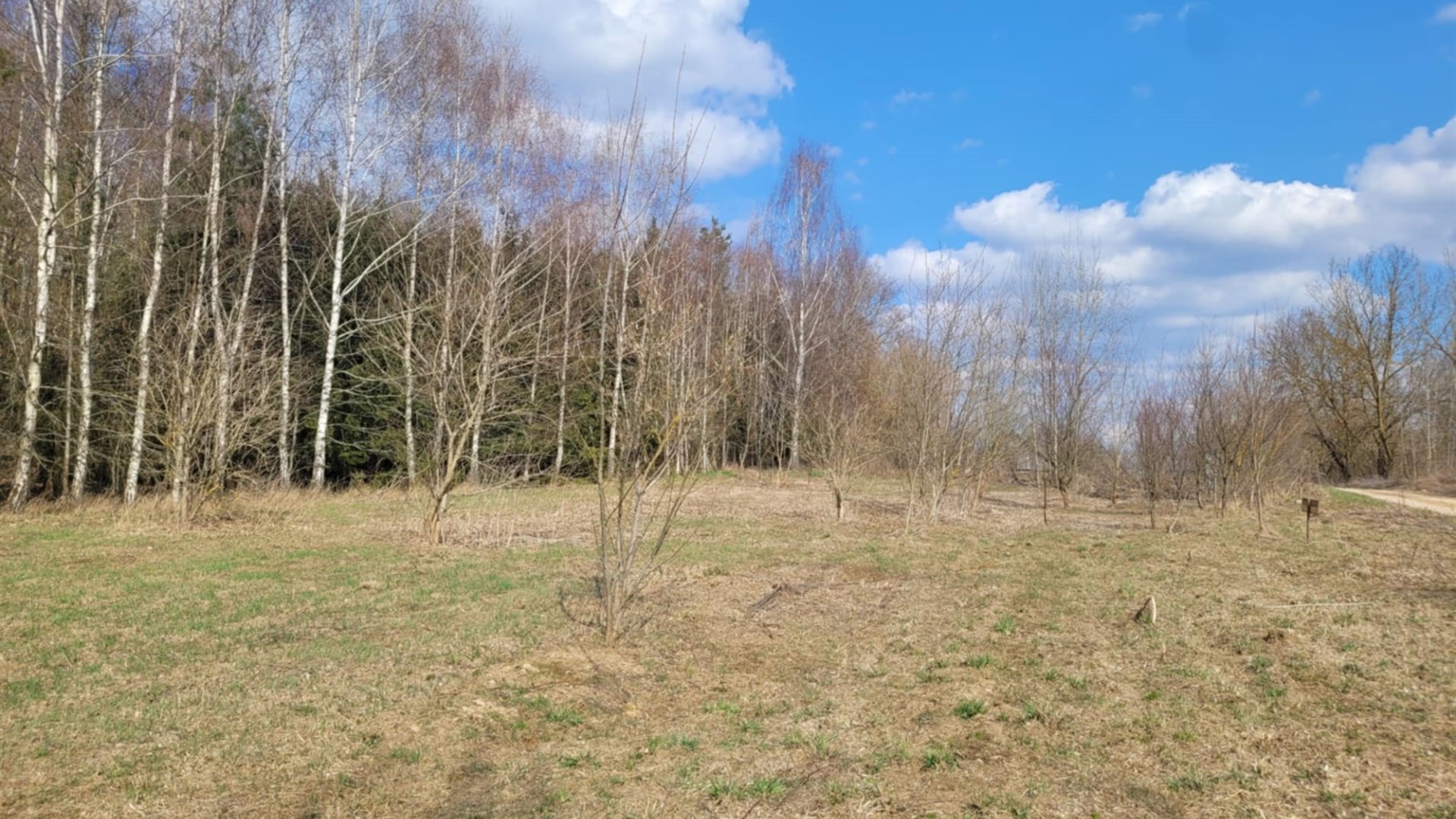 Działka na sprzedaż